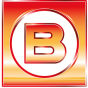 BRINKMANN